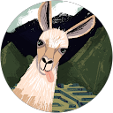 anne kambour profile picture